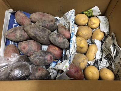 みんなの投稿の画像