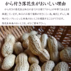 濃厚な味！千葉半立 最高級品種落花生 　ギフト
