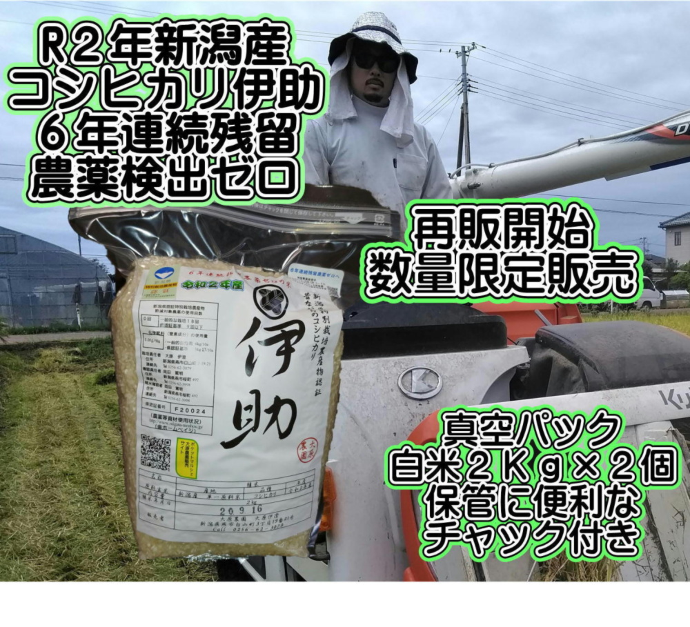 新潟産コシ伊助 4月迄籾貯蔵６年連続残留農薬ゼロ 真空パック 白米2kg 農家漁師から産地直送の通販 ポケットマルシェ