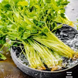 八須賀松夫