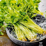 八須賀松夫 | 有限会社エスアンドエム