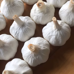 これぞ『夏にピッタリ』! ガツンとくるにんにく