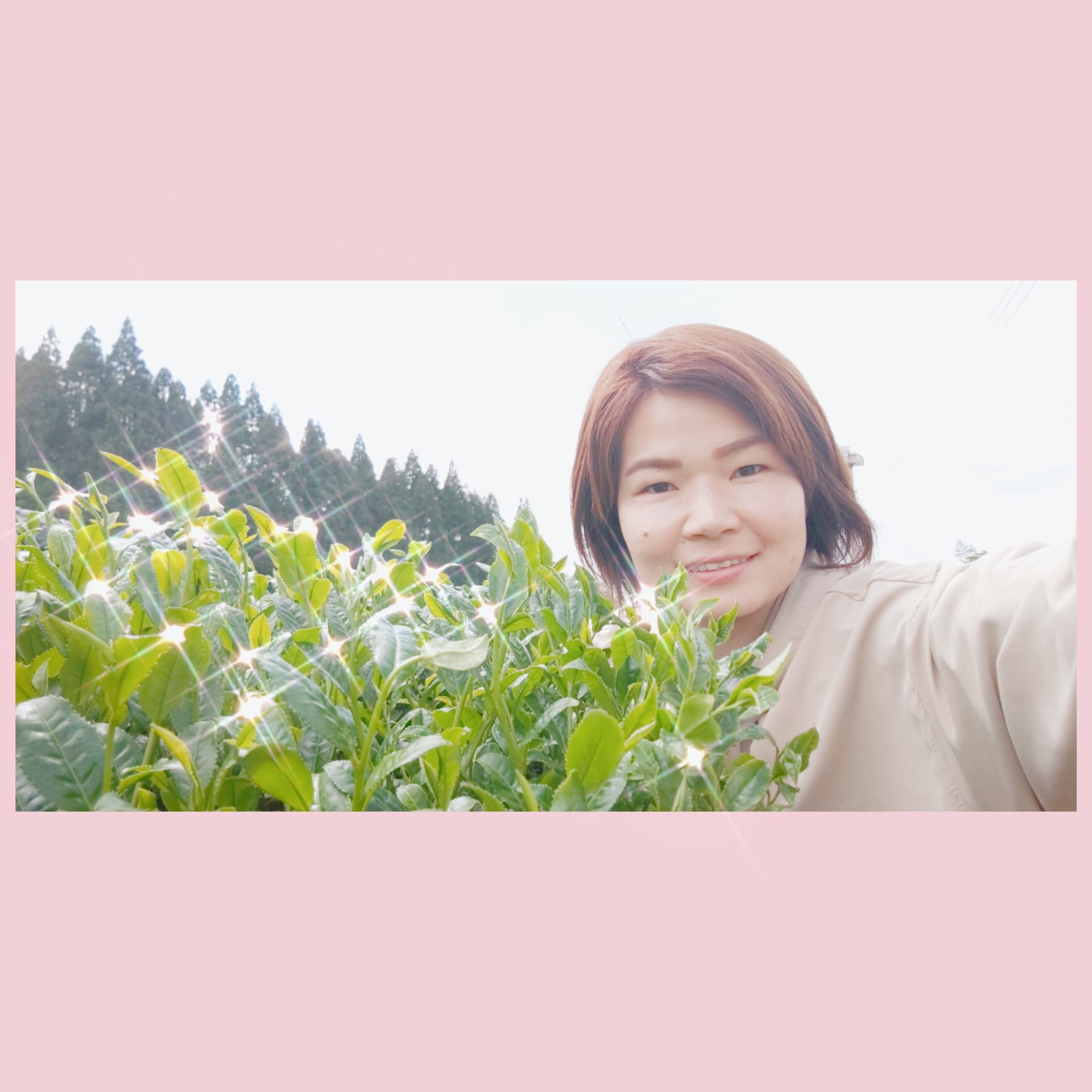 鹿児島県姶良郡湧水町｜神田茶園｜神田真由美さんの生産者プロフィール｜ポケットマルシェ｜産直(産地直送)通販 旬の果物・野菜・魚介をお取り寄せ