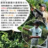 【送料込】パパイヤパウダー｜沖縄産（無農薬）