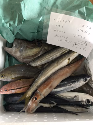 みんなの投稿の画像