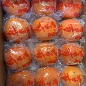 【訳あり】冷蔵柿6kg&ドライフルーツセット