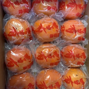 【訳あり】福岡県うきは市産　冷蔵柿