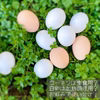 毎月05日はタマゴの日‼　×90個!!【コーチン＆白タマゴMIX】