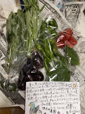 みんなの投稿の画像