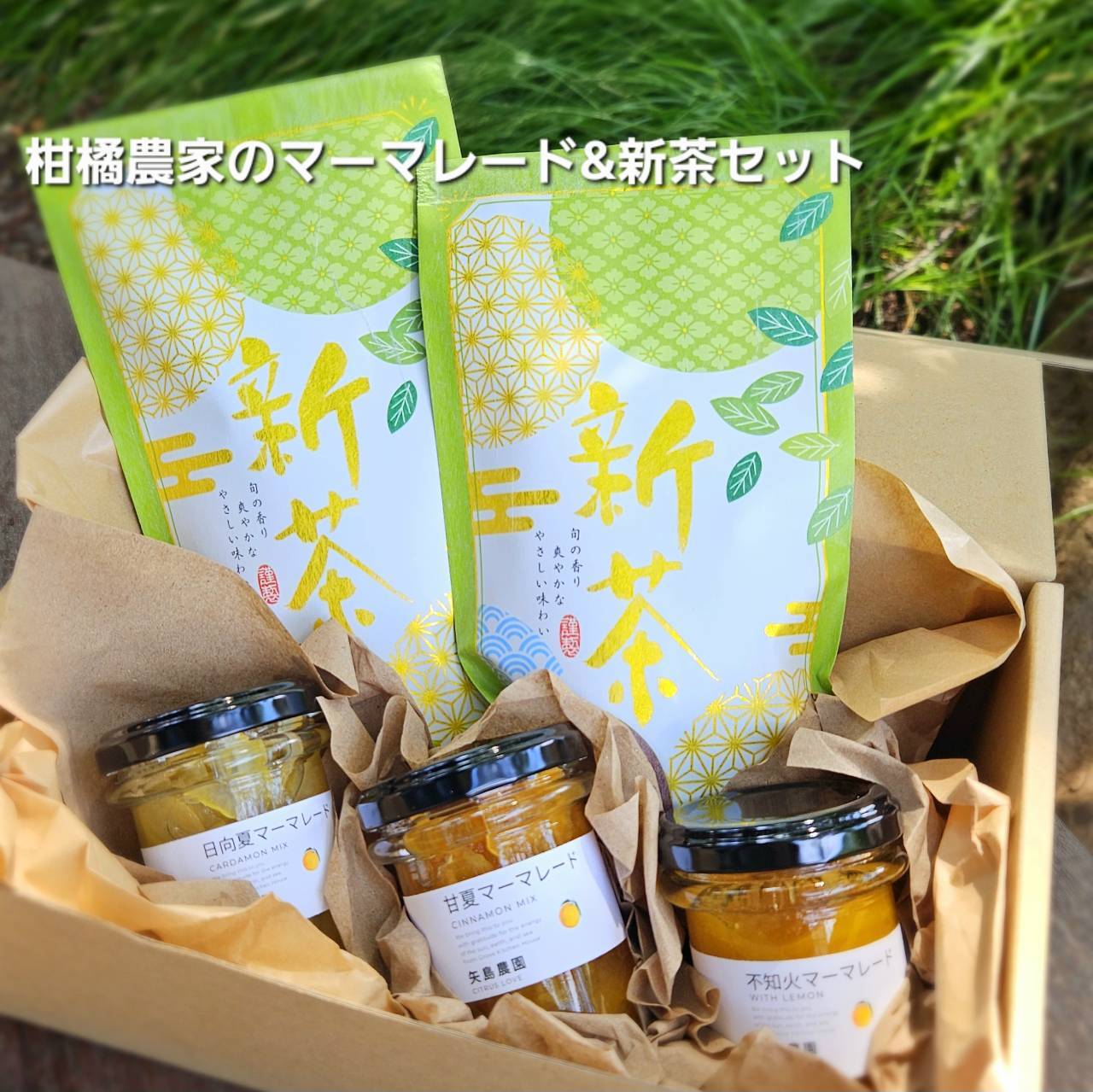 相模湾を望む柑橘農家の季節のマーマレードセット3種＆新茶のセット