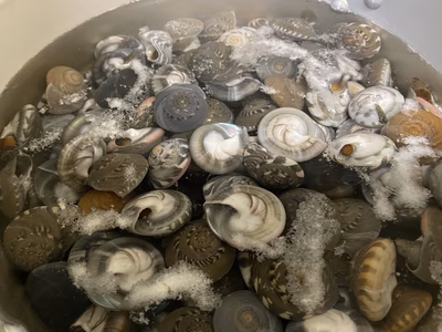 みんなの投稿の画像