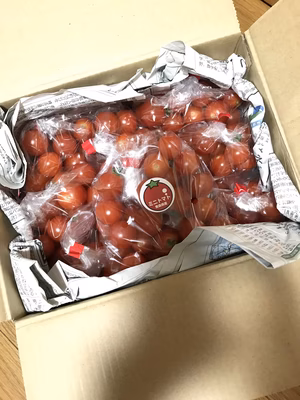 みんなの投稿の画像