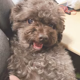 高砂のまりきち