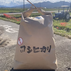 コシヒカリ（栽培期間中農薬不使用）　玄米