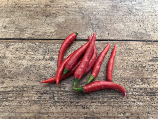 赤唐辛子　300g 群馬県東吾妻町産