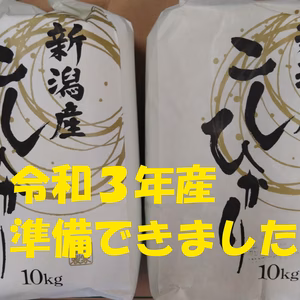 新潟コシヒカリ