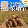 【絶品】種子島産 安納芋 B品（S〜Mサイズ）｜aimo農園