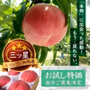 【お試し特価キャンペーン】三ッ星レストラン御用達の極上桃【先着300名】