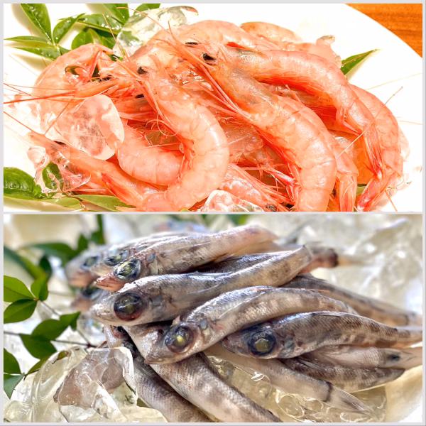 2種の唐揚げでパクパク食べたい子ぼっちとトロエビ中小