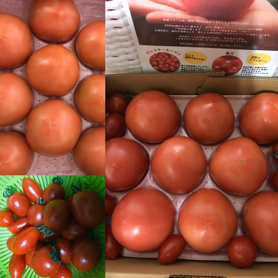 みんなの投稿の画像