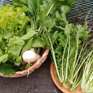 農園はなうたおまかせセット