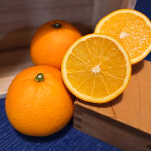 化学農薬不使用！希少な国産ネーブルオレンジ(箱込4.5kg)