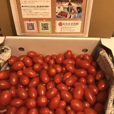 みんなの投稿の画像