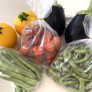 新鮮お野菜5種のセット