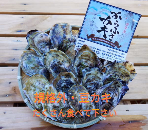 規格外の豆(小)カキ✨鮮度抜群・からふさ牡蠣✨３キロ箱・５キロ箱