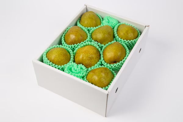 【訳あり洋梨 品種おまかせ！】 約2㎏ ご家庭用やおすそ分けに！R1ｰ01