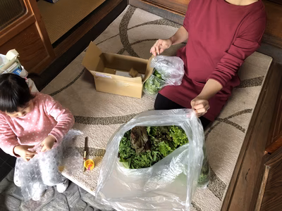 みんなの投稿の画像