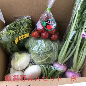 Ⓐ静岡厳選野菜セット 6品（火曜・金曜発送日）