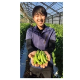 白井岳彦