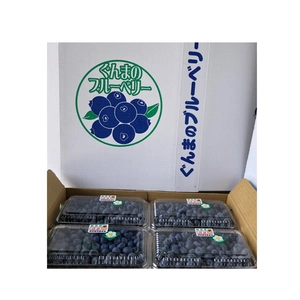 旬の生果が美味しい「ブルーベリー」栄養成分豊富な中•小粒　ノーザンハイブッシュ系