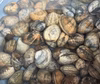 国産あさり（アサリ）1kg 生まれも育ちも鹿児島県産！天然養殖アサリ