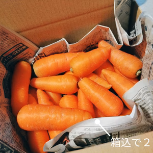 【Ｂ品】ちはま５寸人参★栽培期間中農薬・化学肥料不使用