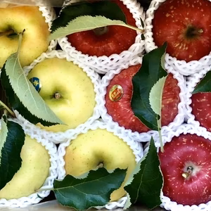 【2品種ミックス！】弘前ふじ＆トキ　大玉　3キロ