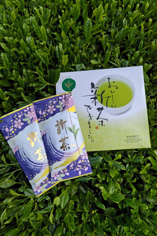 鹿児島茶 有機栽培茶 湧水上煎茶