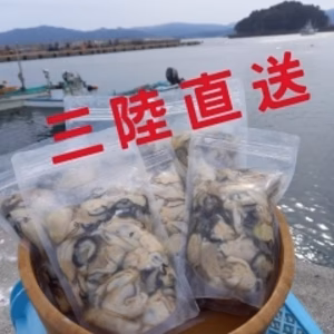 三陸直送！身がキュット！濃厚クリーミー！牡蠣剥き身生食用500g×2パック