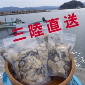 三陸直送！2月28日まで限定！生食用牡蠣500g×2パック+ムール貝殼つき1キロ