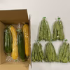 黄色ズッキーニ2本、緑色ズッキーニ2本、モロッコインゲン5袋、のセット　　