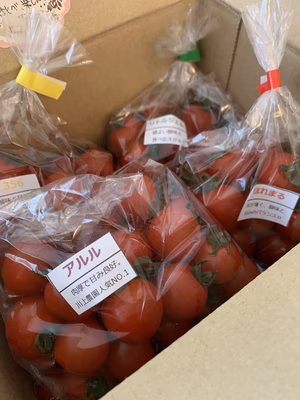 みんなの投稿の画像