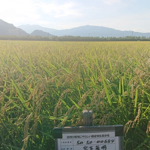 信州産 特別栽培米「里田のはぜかけ米」（化学肥料・農薬不使用）