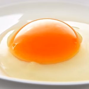 【予約販売開始】年に一度の縁起物【大寒たまご】