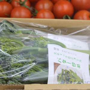 家族で楽しむ。まるたか農園、新鮮野菜セット（ミニトマトとスティックセニョール））