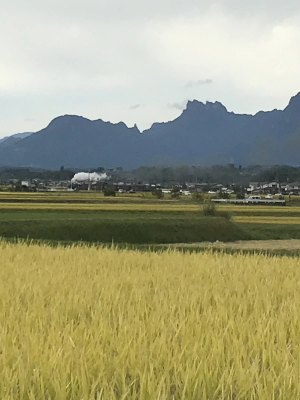 坂本農園