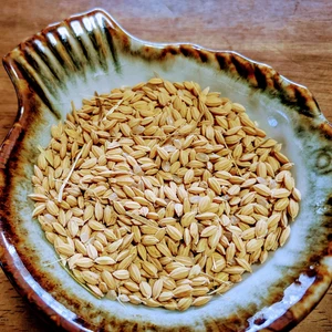自然栽培のお米 亀の尾『玄米』