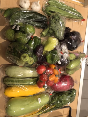 みんなの投稿の画像