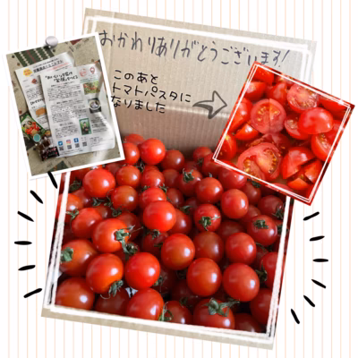 みんなの投稿の画像