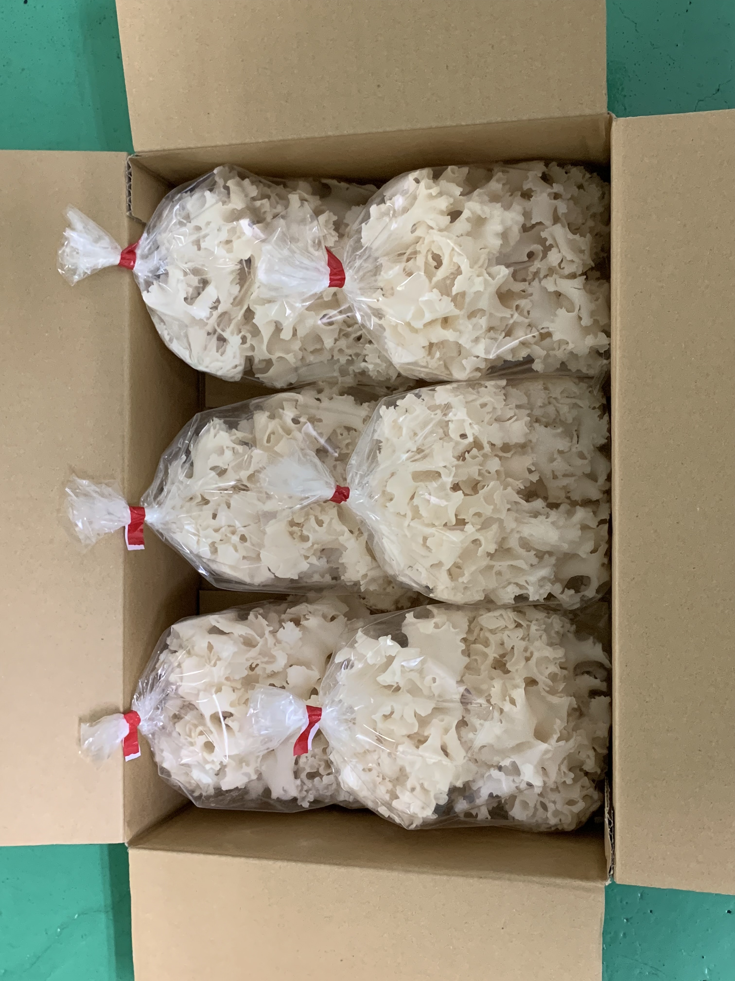はなびらたけ【200g×6】｜ハナビラタケの商品詳細｜ポケットマルシェ